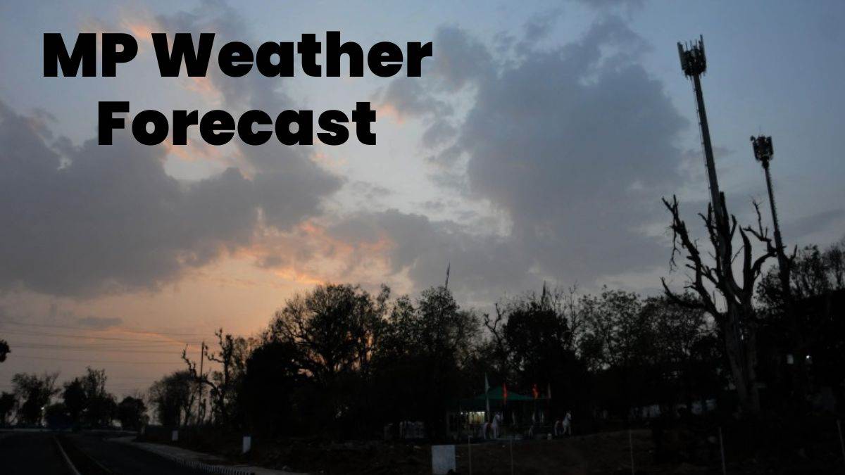 MP Weather