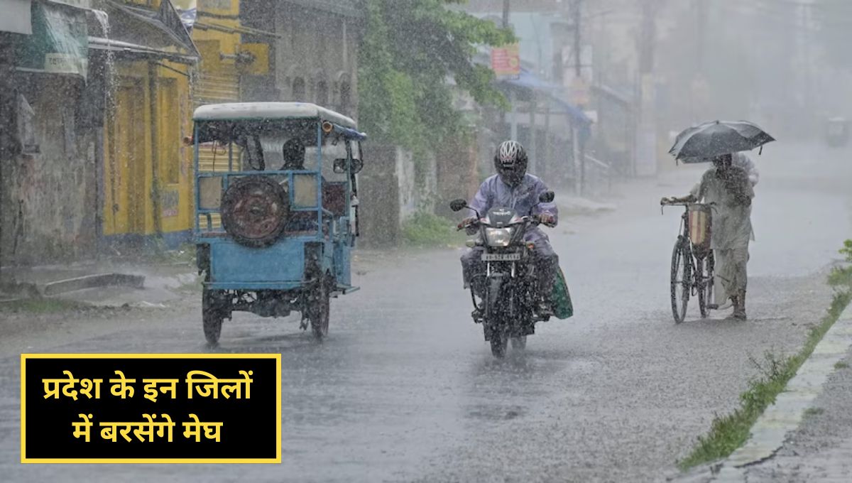 MP Weather