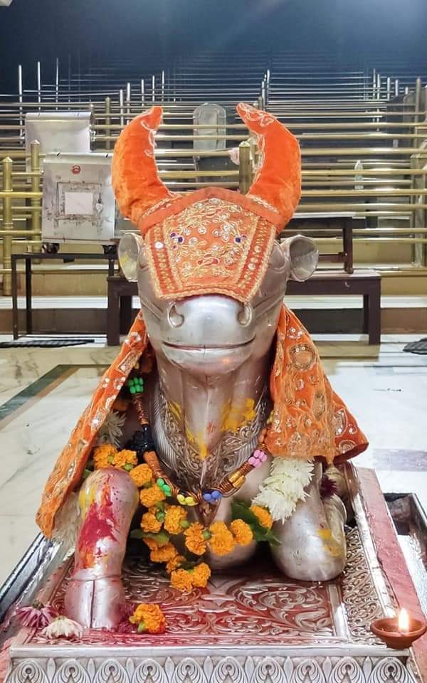 महाकाल लाइव दर्शन