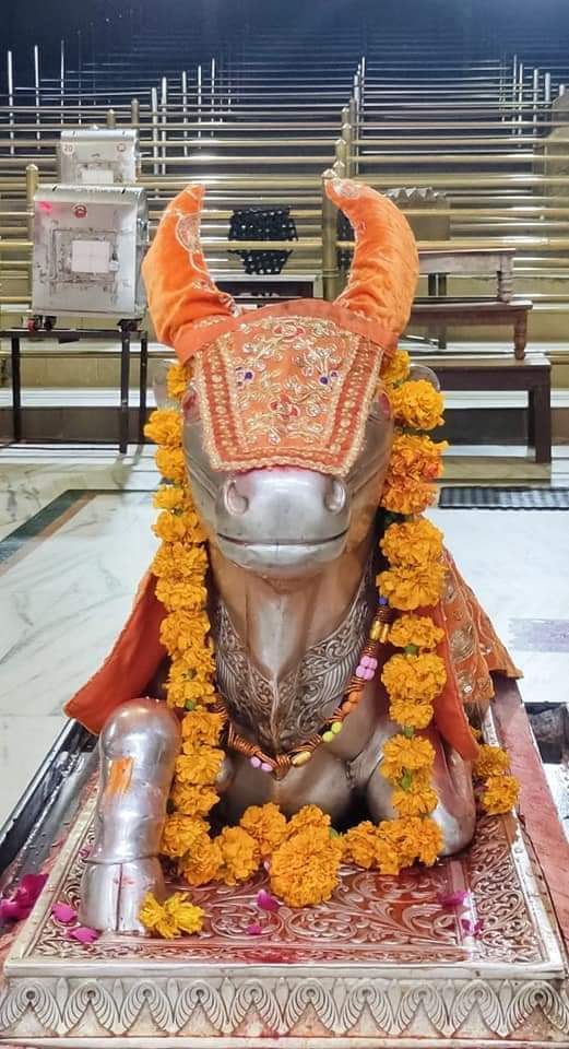 महाकाल के लाइव दर्शन