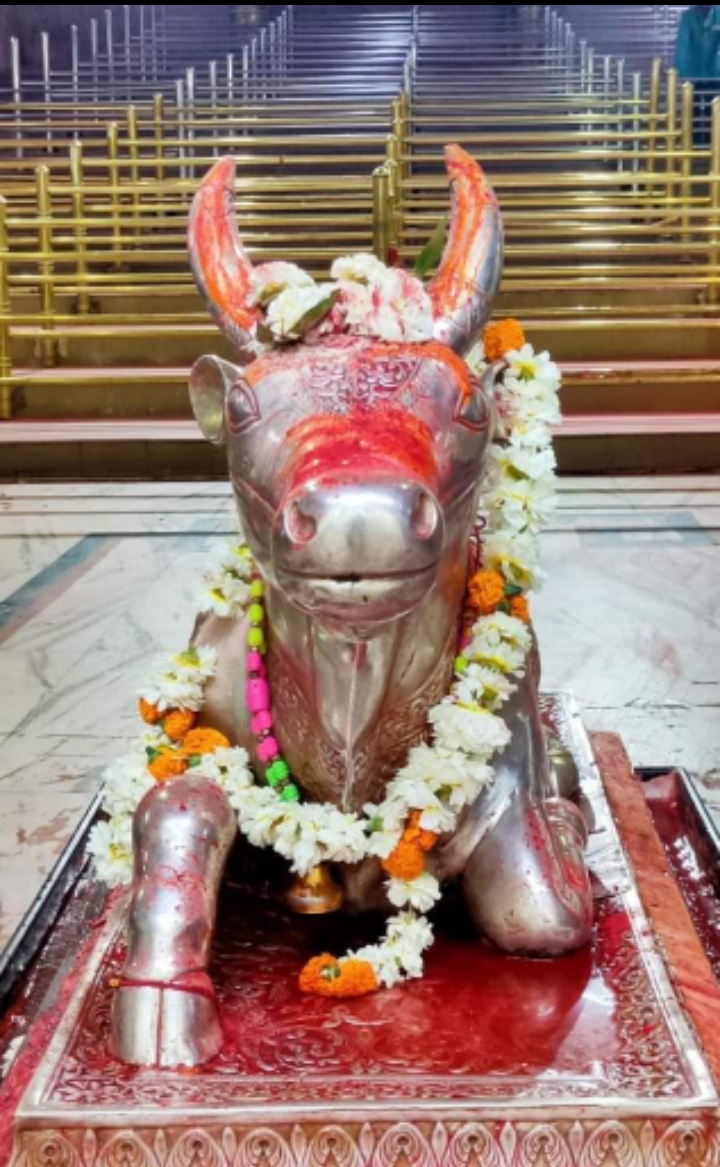 महाकाल लाइव दर्शन