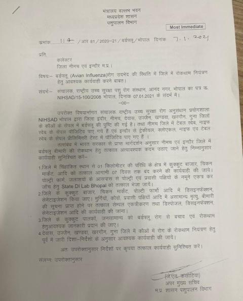 इंदौर सहित कई जिलों में हुई बर्ड फ्लू की पुष्टि