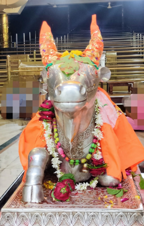 महाकाल लाइव दर्शन