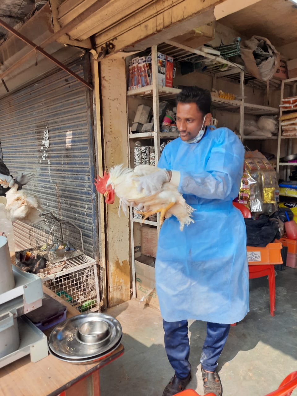 बर्ड फ्लू : मुर्गे-मुर्गियों के व्यवसाय पर आयुक्त की पाबंदी