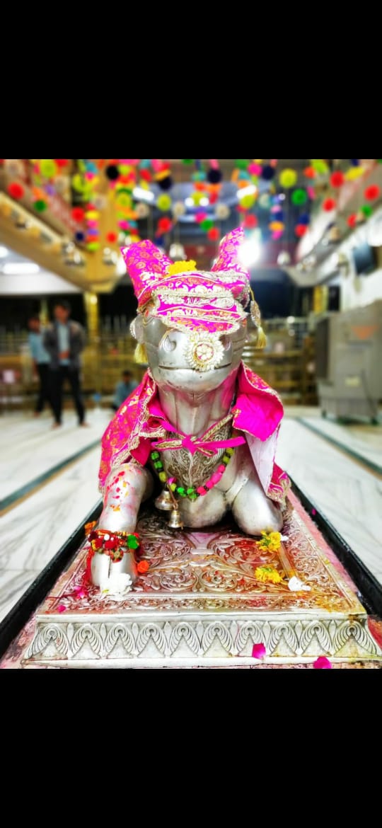 महाकाल लाइव दर्शन