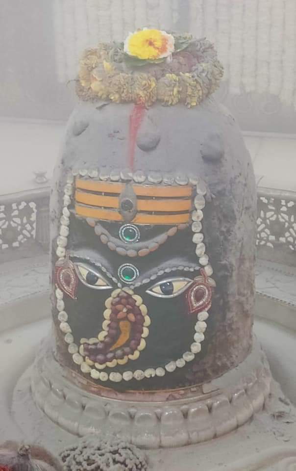 महाकाल लाइव दर्शन