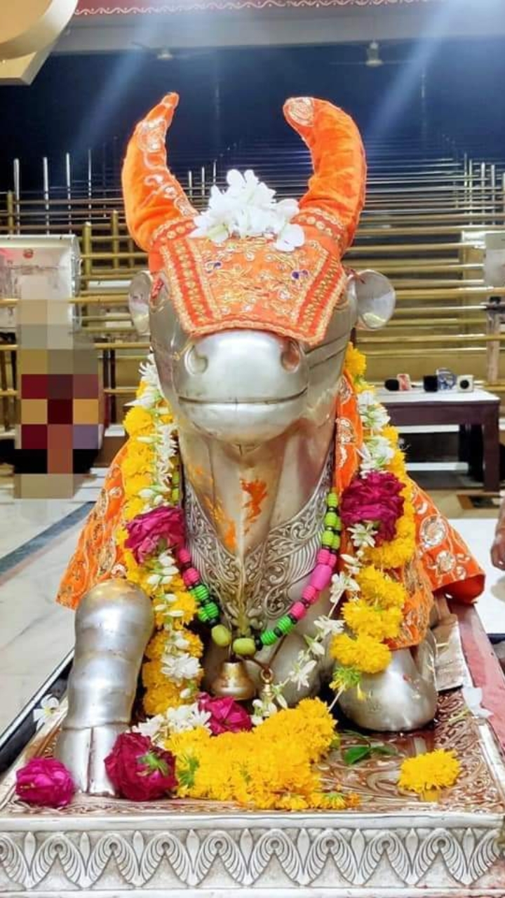 महाकाल लाइव दर्शन