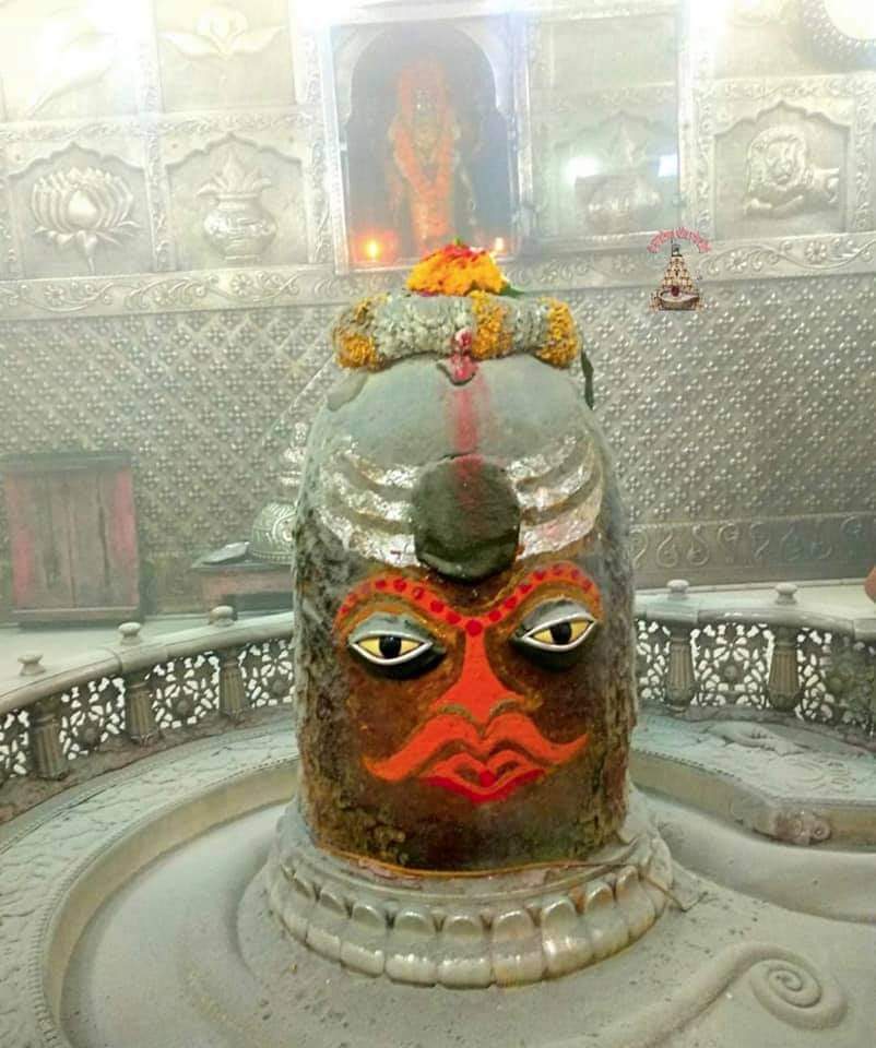 महाकाल लाइव दर्शन