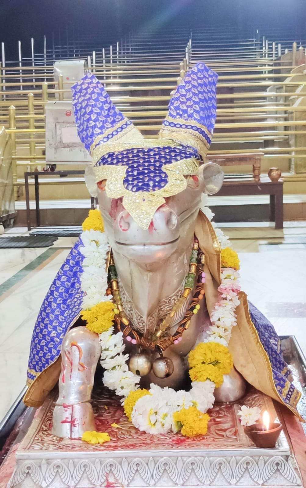 महाकाल लाइव दर्शन