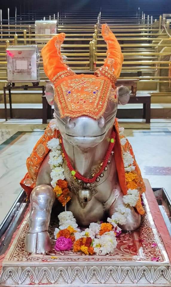 महाकाल लाइव दर्शन
