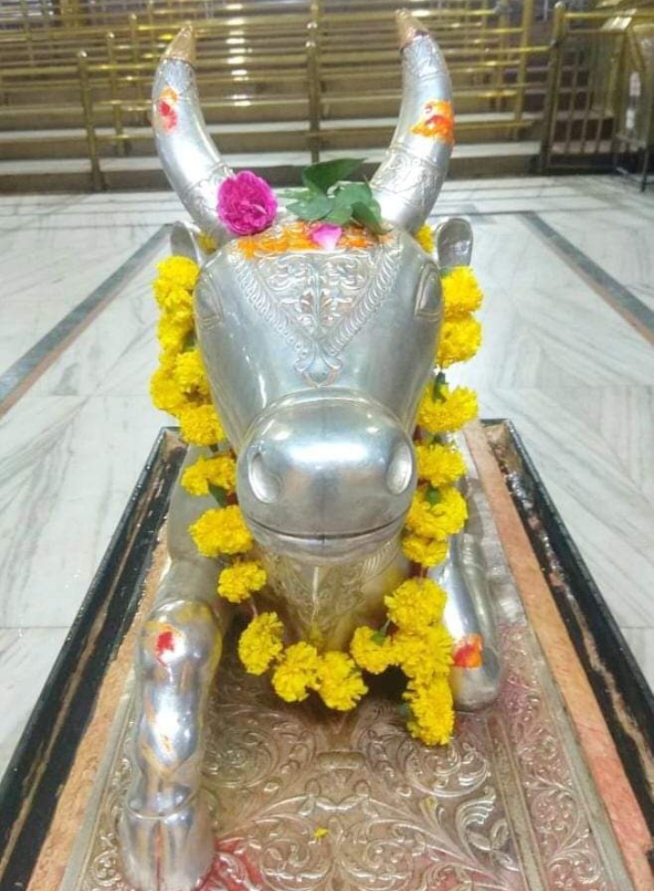 महाकाल लाइव दर्शन