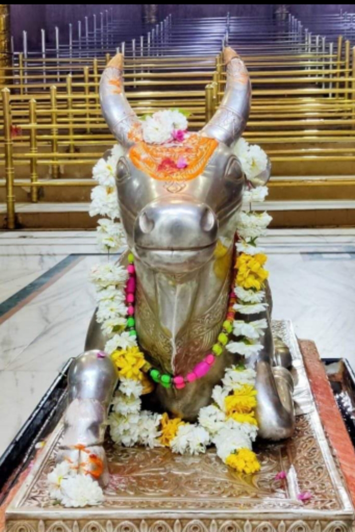 महाकाल लाइव दर्शन