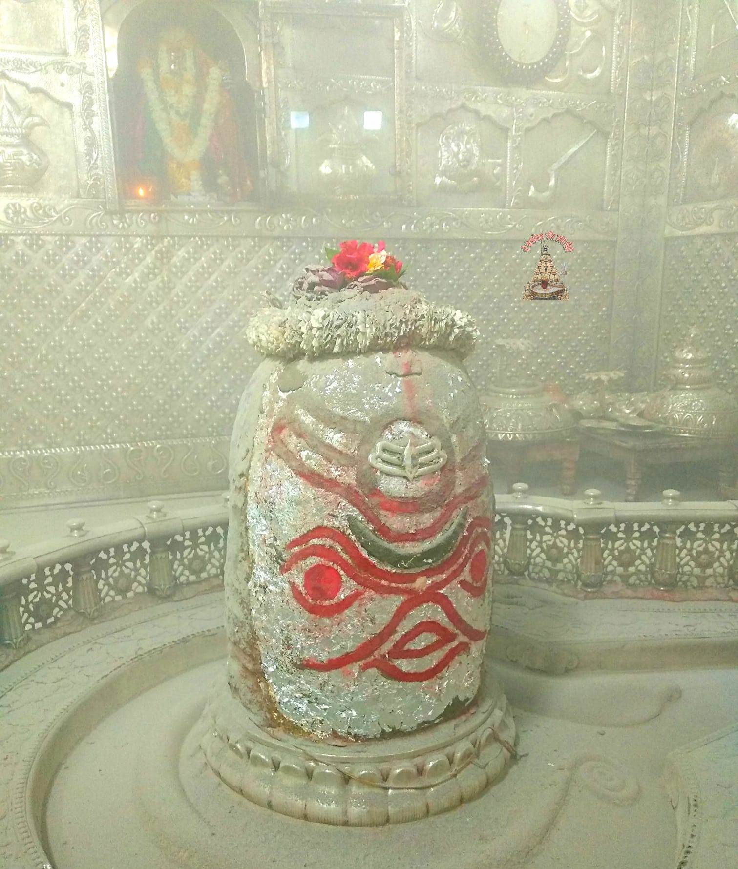 महाकाल लाइव दर्शन