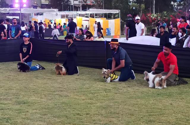Indore News : पेट फिएस्टा में श्वान मालिकों ने दिखाया जबरदस्त उत्साह