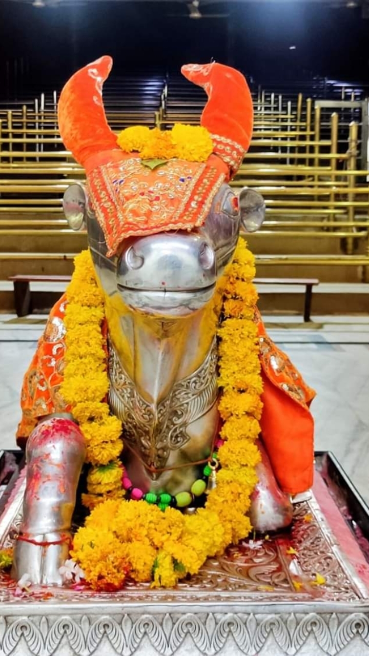 महाकाल लाइव दर्शन