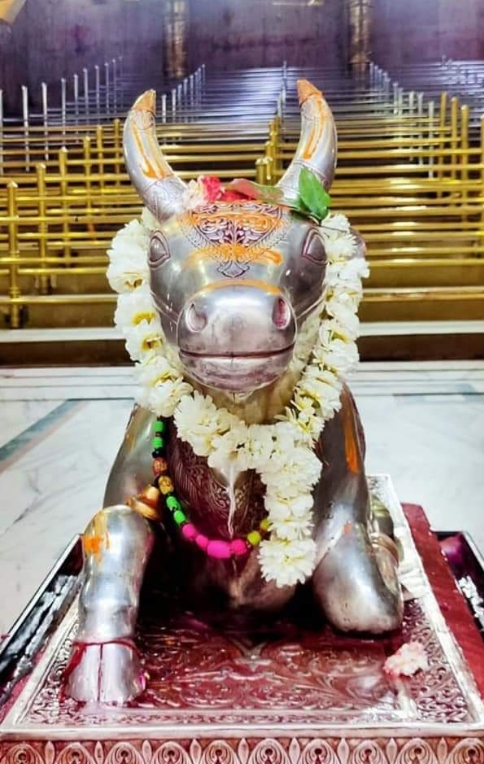 महाकाल लाइव दर्शन