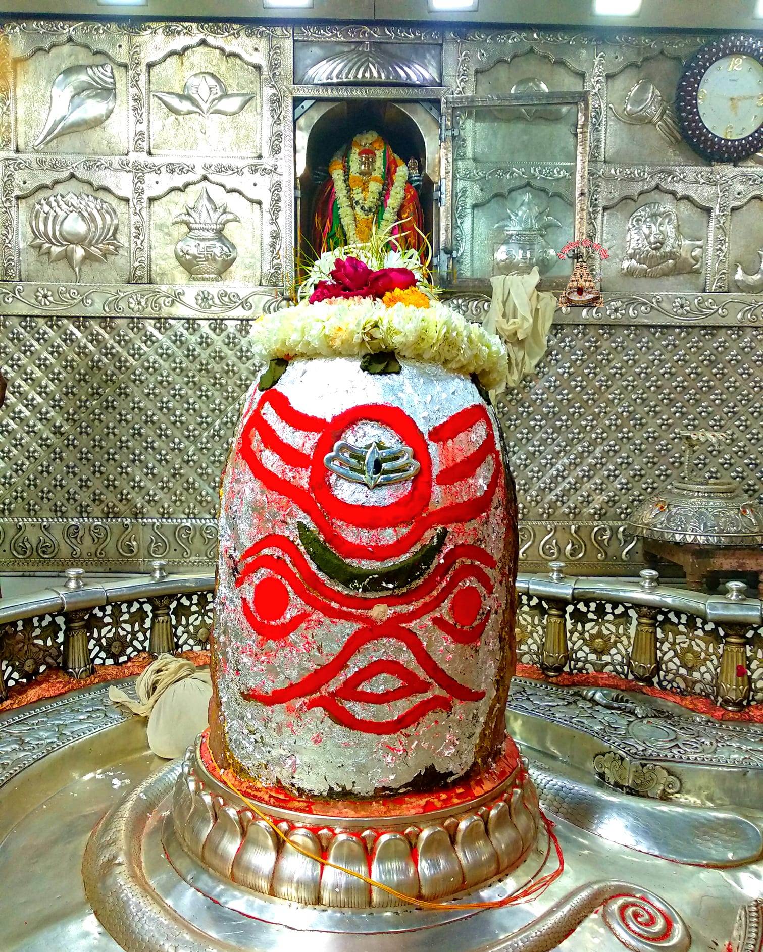 महाकाल लाइव दर्शन