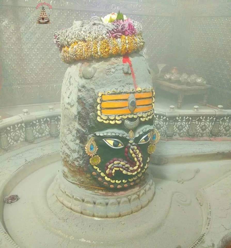 महाकाल लाइव दर्शन