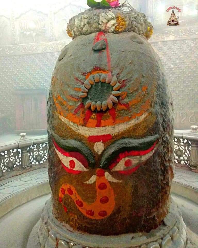 महाकाल लाइव दर्शन