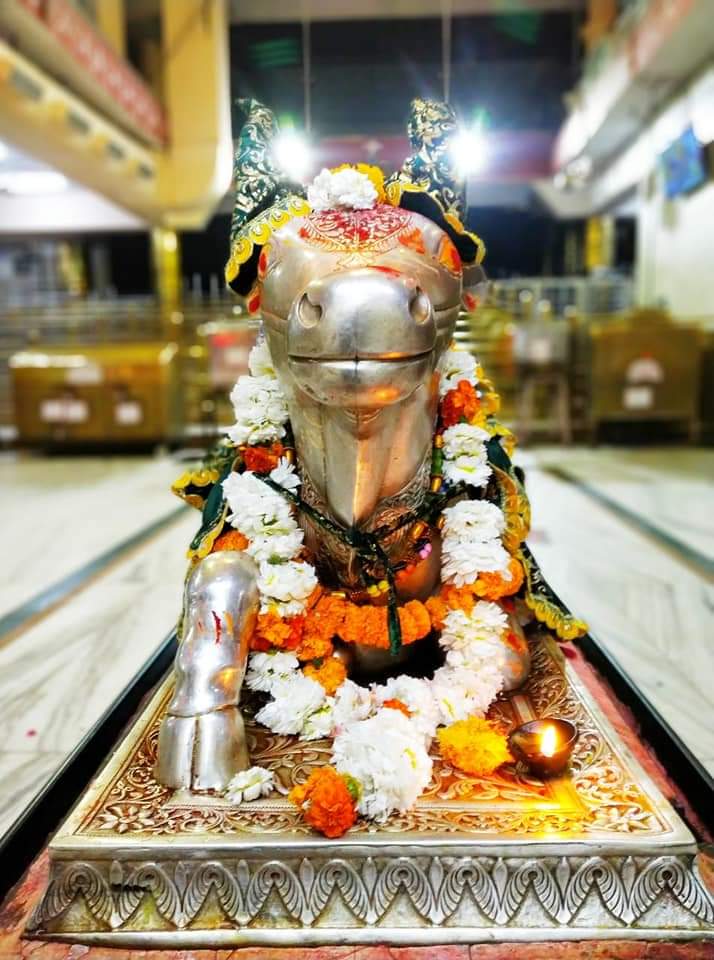 महाकाल लाइव दर्शन