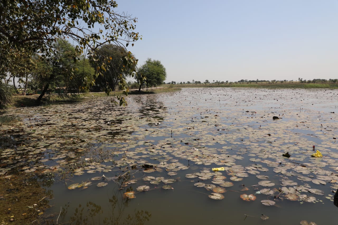प्रदेश के सभी जिलों में दो तालाबों का जीर्णोद्धार-जल संसाधन मंत्री, इंदौर से होगी शुरुआत
