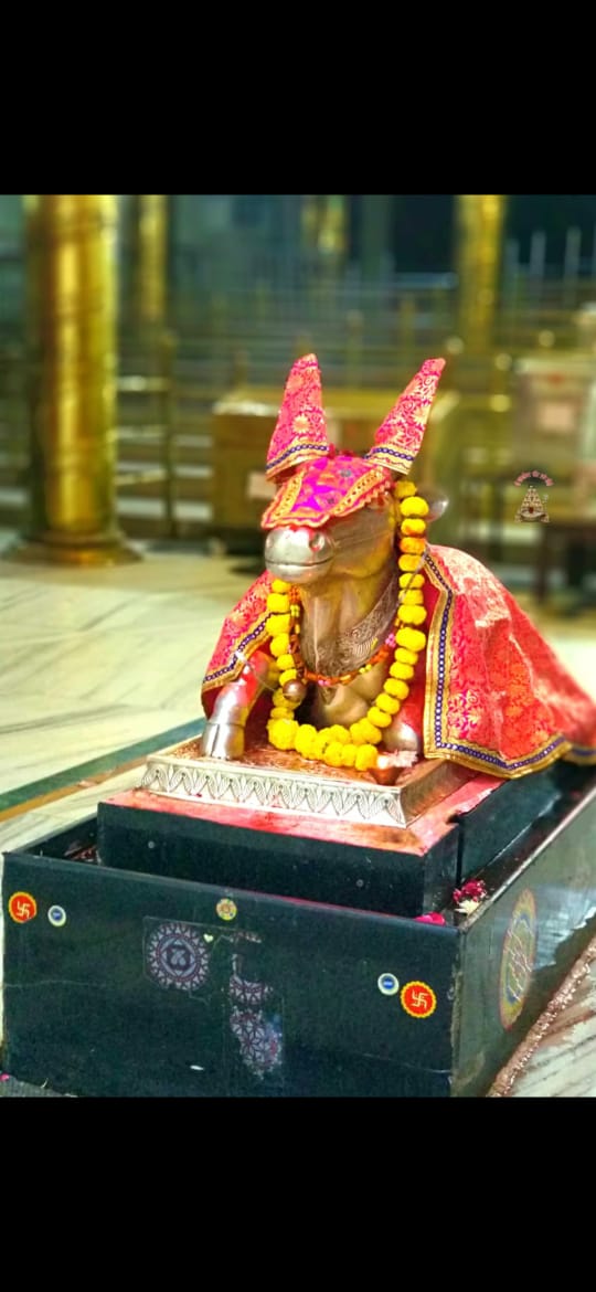 महाकाल लाइव दर्शन