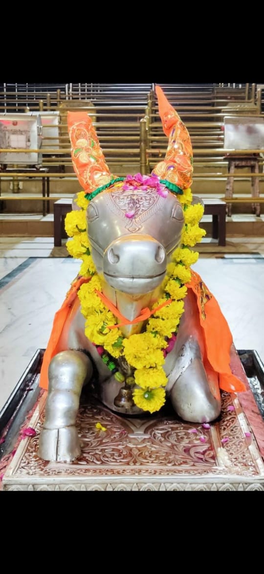 महाकाल लाइव दर्शन