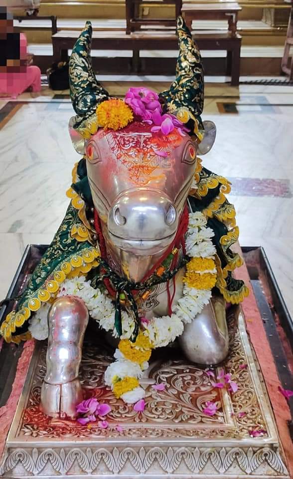 महाकाल लाइव दर्शन