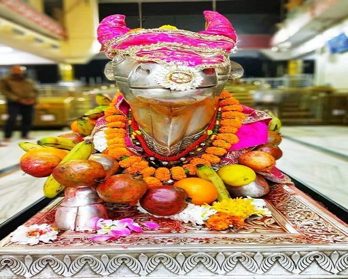 महाकाल लाइव दर्शन
