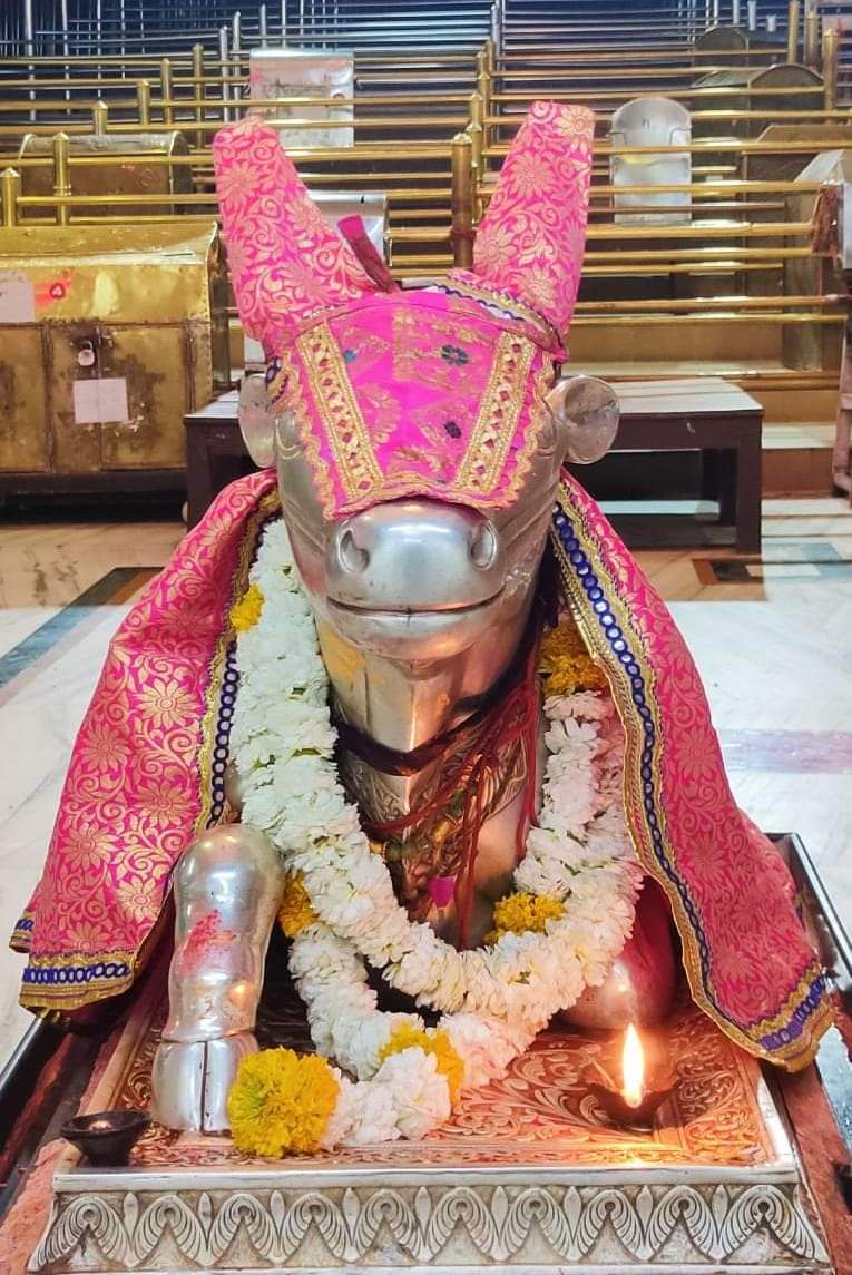 महाकाल लाइव दर्शन