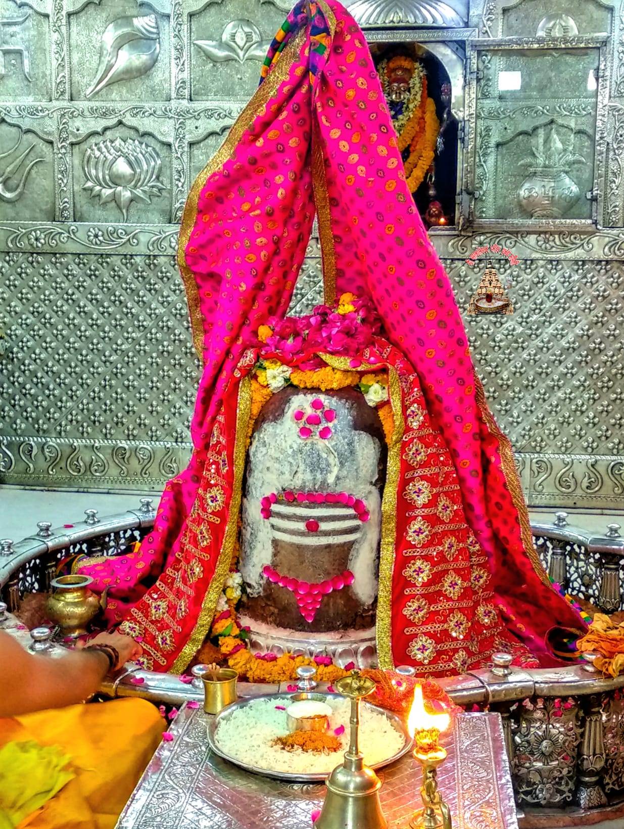 महाकाल लाइव दर्शन