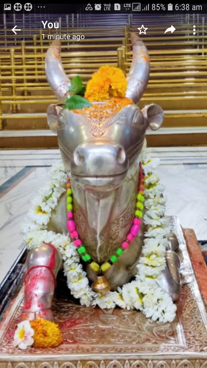 महाकाल लाइव दर्शन