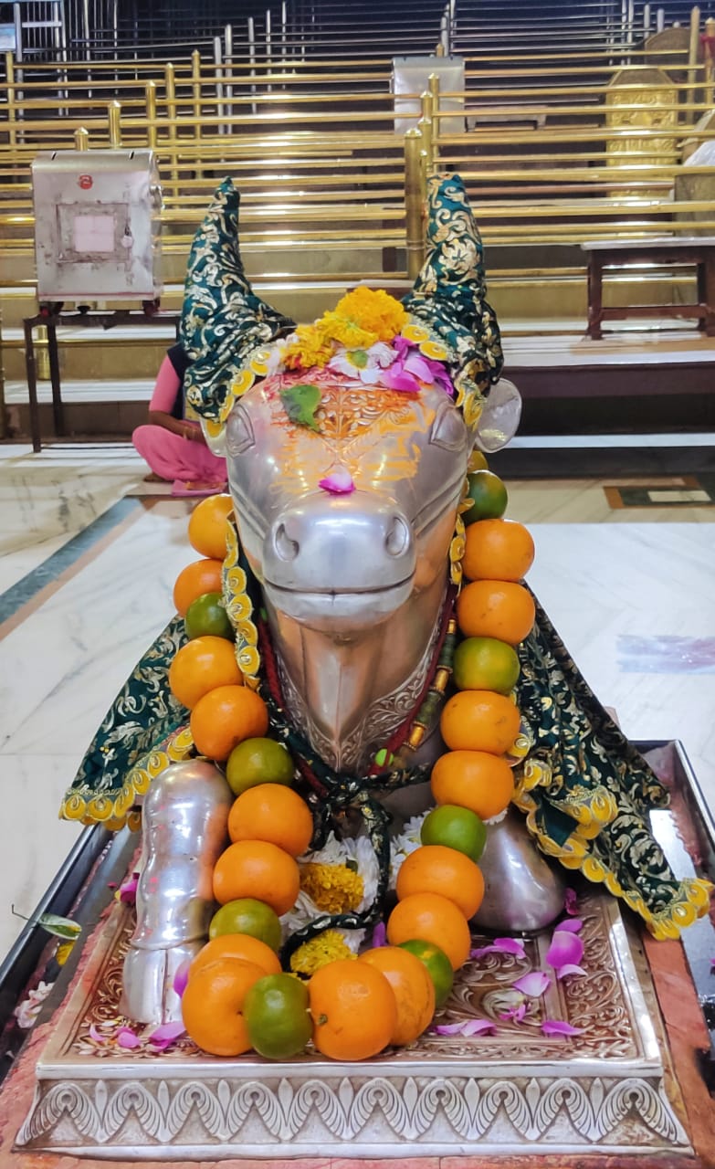 महाकाल लाइव दर्शन