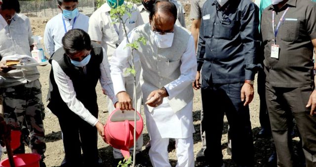 ग्रीन कवर बढ़ेगा तो दुनिया बचेगी : CM शिवराज