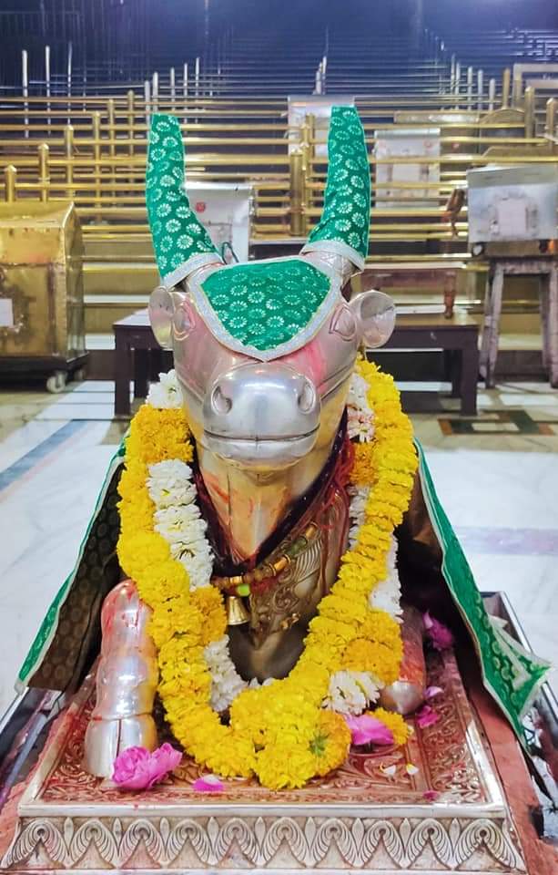 महाकाल दर्शन लाइव