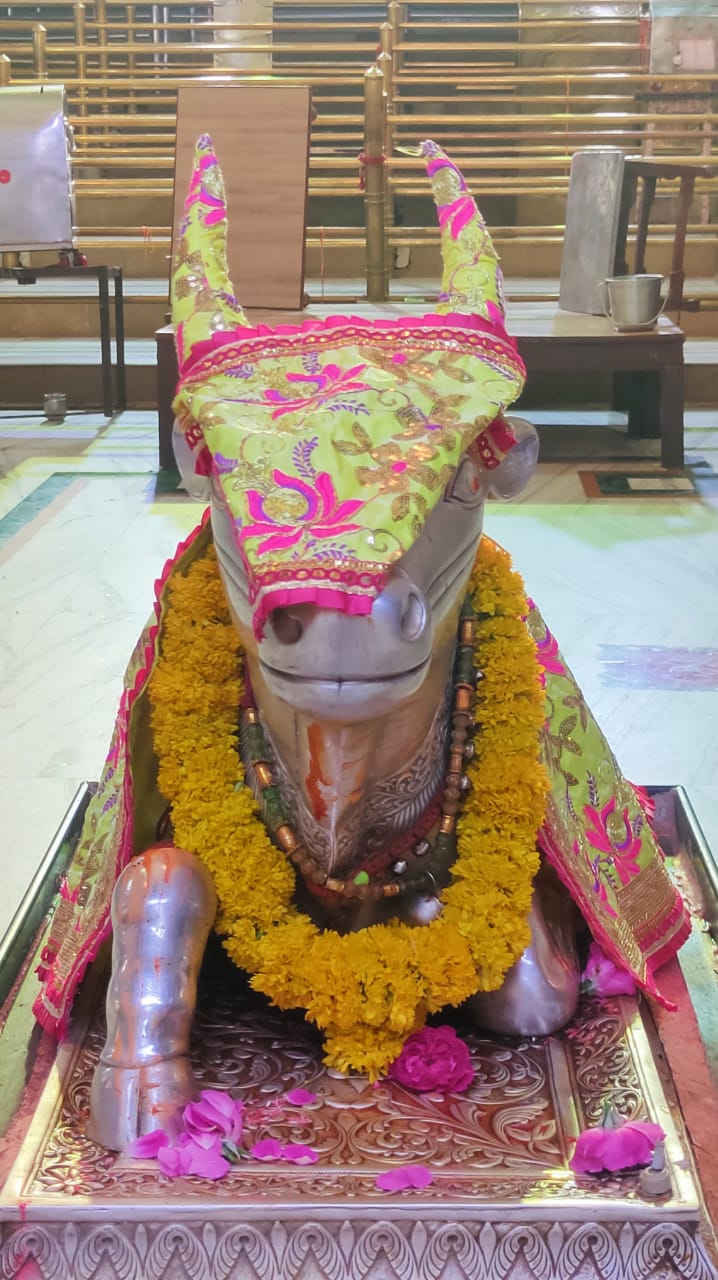 महाकाल दर्शन लाइव