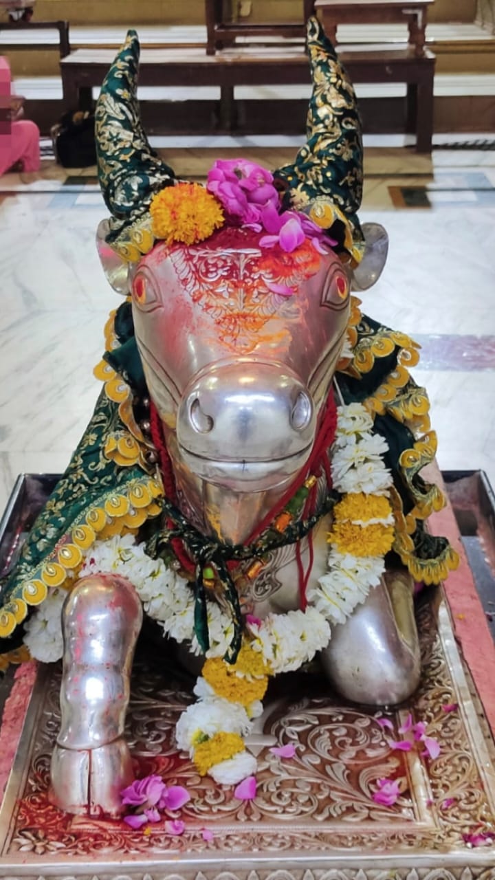 महाकाल दर्शन लाइव