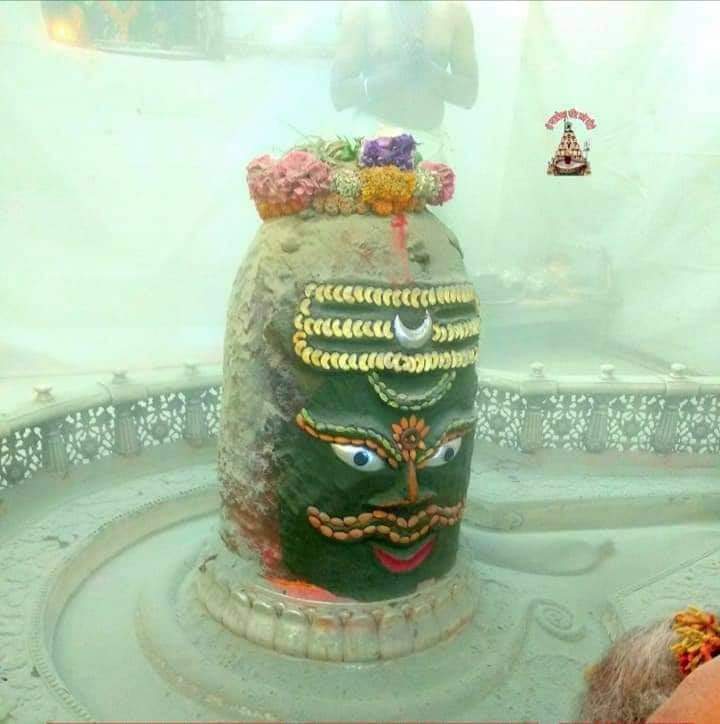 महाकाल दर्शन लाइव