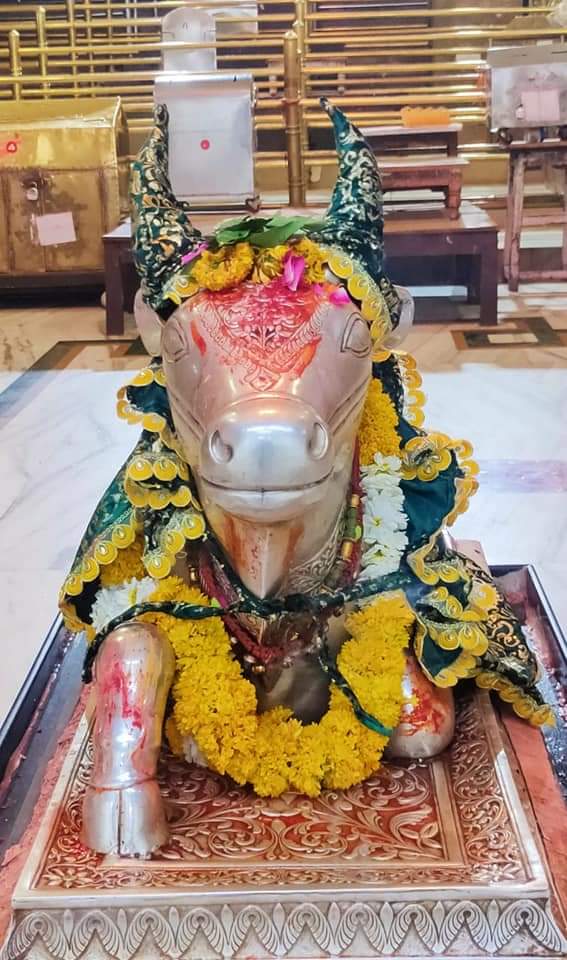 महाकाल लाइव दर्शन