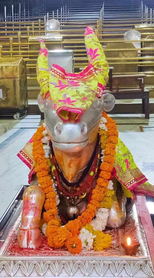 महाकाल दर्शन लाइव
