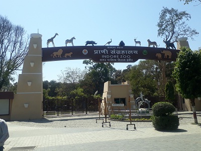 कोरोना: आगामी आदेश तक बंद रहेगा इंदौर ZOO, कलेक्टर ने दिए निर्देश