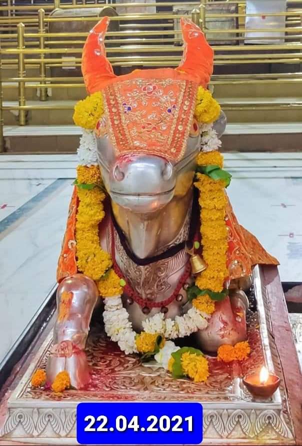 महाकाल दर्शन लाइव