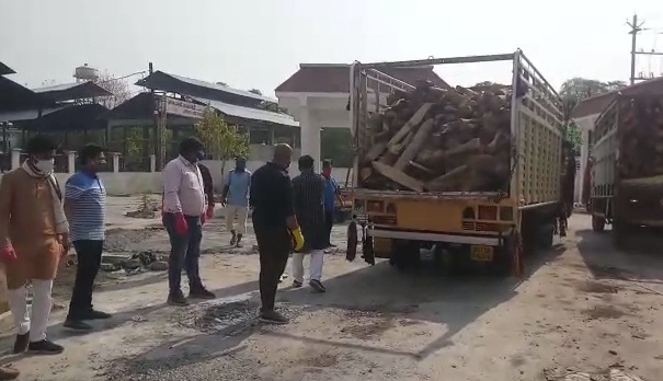 भोपाल: पूर्व महापौर का नेक काम, 5 ट्रक लकड़ी लेकर भदभदा विश्राम घाट पहुंचे
