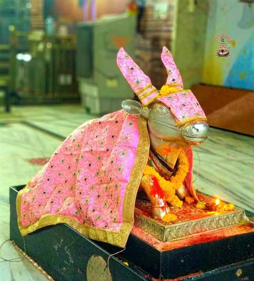 महाकाल दर्शन लाइव