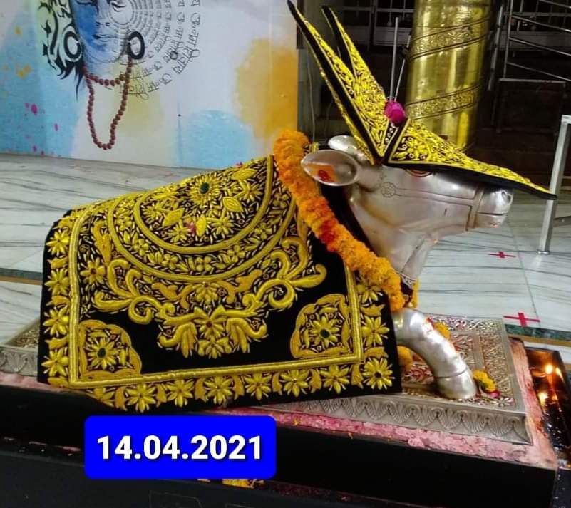 महाकाल लाइव दर्शन