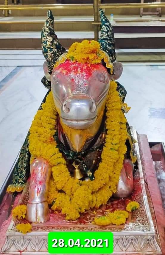 महाकाल लाइव दर्शन