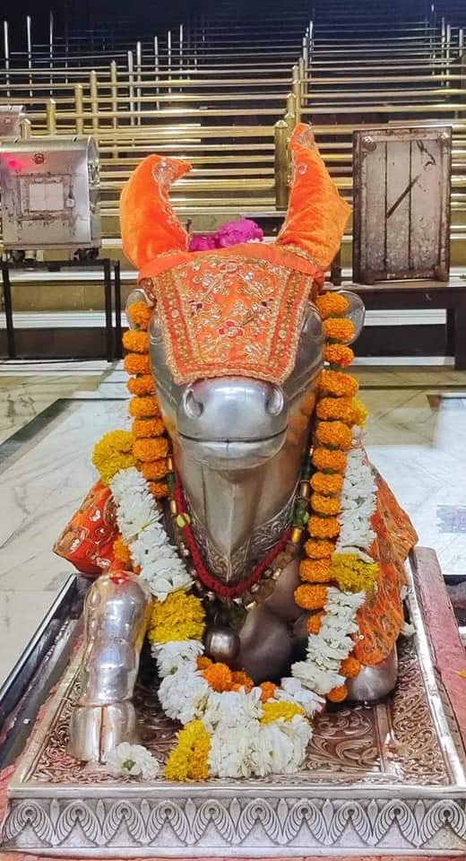 महाकाल दर्शन लाइव