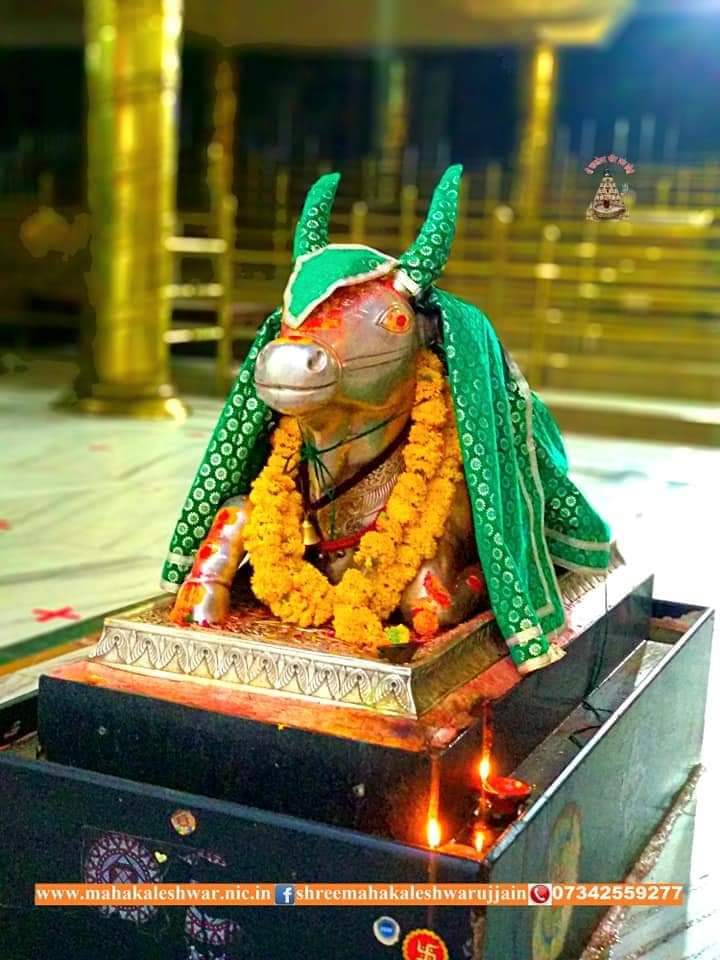 महाकाल लाइव दर्शन