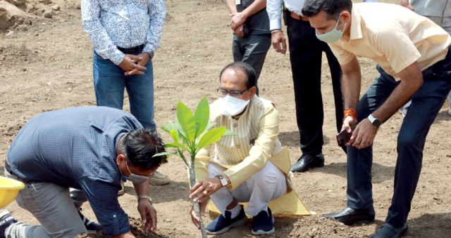 आज CM शिवराज ने लगाया चम्पा का पौधा