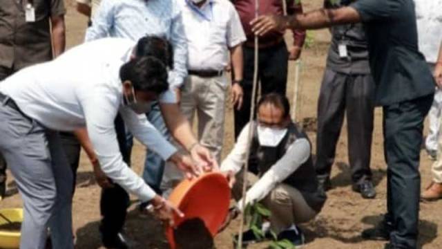 मुख्यमंत्री शिवराज ने लगाया मौलश्री का पौधा